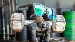 Goodr Sunglasses - OG Beast Collection (OG) 8 Goodr Sunglasses - OG Beast Collection (OG) -Sports Fashion Store Product 0009 Silverback 1000x d453092e adbf 4888 9597 575f8b234ba2