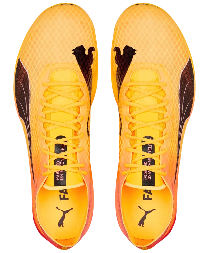 PUMA Unisex EvoSPEED Distance Nitro Elite+ 2 6 PUMA Unisex EvoSPEED Distance Nitro Elite+ 2 - Image 4