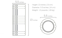 TriggerPoint Grid Foam Roller -Sports Fashion Store grid foam innov1